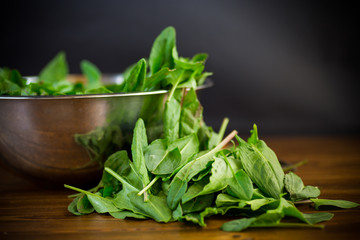 fresh cut sorrel leaves on a wooden table