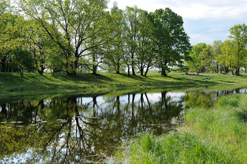 Spring. May. Morning landscape with water, oak grove and green grass.