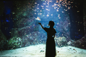 水族館。エイとの遭遇。 © Koichi