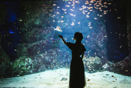 水族館。エイとの遭遇。