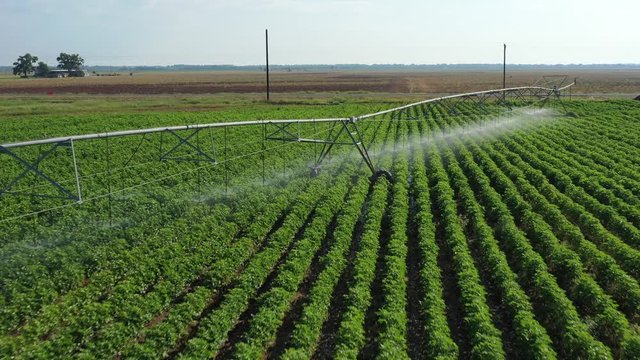 Watering a cotton field, Burleson County, Texas, USA