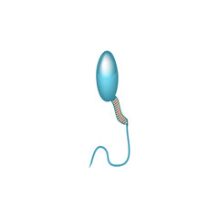 Pathological forms of sperm in the ejaculate. Male infertility Oligospermia. Spermogram. Sperm defects. Infographics. Vector illustration on isolated background.