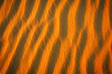 Golden desert sand during sunset as background