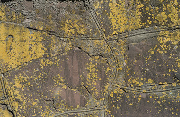 the old concrete wall covered with lichen