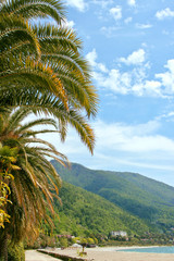Fototapeta na wymiar Subtropical beach on the background of palm trees and mountains. Gagra, Abkhazia
