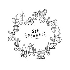 Doodle plant in faceted pot set. Hand-drawn wreath leaves, succulents and cactus with poly flower pot. Outline home plants isolated on a white background. Cute illustration polygonal interior element