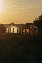 Glass greenhouses for growing seedlings at sunset. Picture a warm yellow color. | KOROVYAKOVA, SVERDLOVSKAYA OBLAST - 9 MAY 2020.