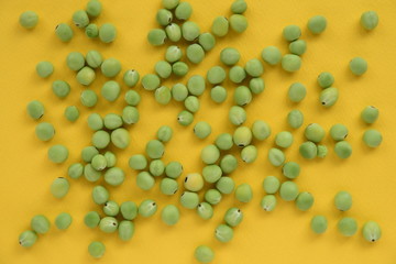 グリーンピース　背景黄色