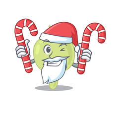 Friendly lymph node dressed in Santa Cartoon character with Christmas candies