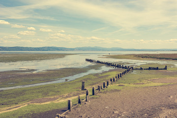 Spectacular view of scenic nature reserve park of river mouth Isonzo entering Adriatic sea.