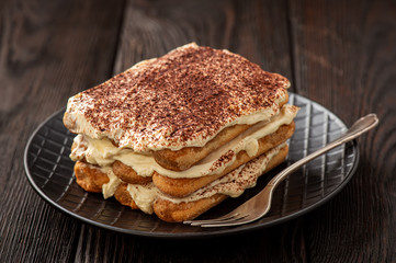 Homemade tiramisu cake, italian dessert.
