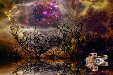 Obraz na płótnie Canvas reflection of silhouette dry tree and car in the field on night sky