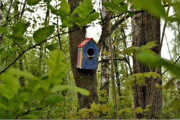 bird house on tree