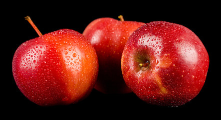Red apples in water drops isolated on a black background close-up.