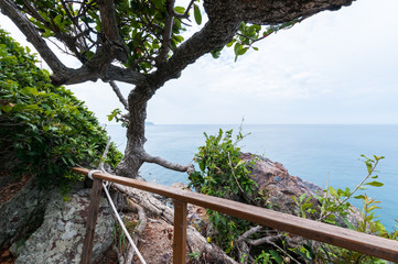 Fototapeta na wymiar Tree branch and ocean landscape of Laem Sing hill scenic point