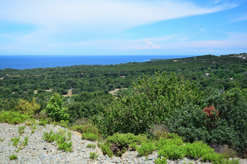 view from the top of the mountain to the coast of the sea over forest in Therma area,  Samothraki island, Greece, Aegean sea