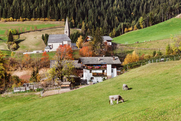 Church of Santa Maddalena in Val di Funes, South Tyrol, Italy