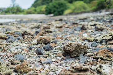 Closeup of stone on the beach