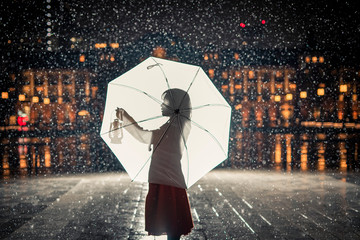 幻想的な雨のひと時。