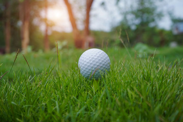 Golf ball on tee in the evening golf course with sunshine.