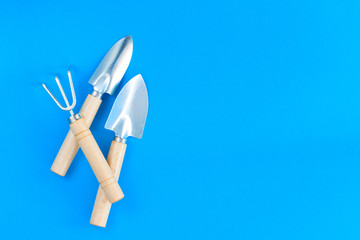 Small garden tools for working with indoor flowers or seedlings on a blue background, horizontal, copy space