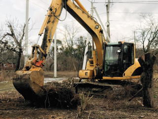 Excavator uprooting trees on land in countryside. Bulldozer clearing land from old trees and branches with dirt and trash. Backhoe machinery. Yard work © sonyachny