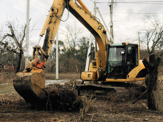 Excavator uprooting trees on land in countryside. Bulldozer clearing land from old trees and...
