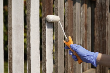 Worker with roller painting a fence. 