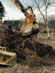 Excavator uprooting trees on land in countryside. Bulldozer clearing land from old trees, roots and...
