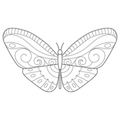 Butterfly coloring page for children and adults.