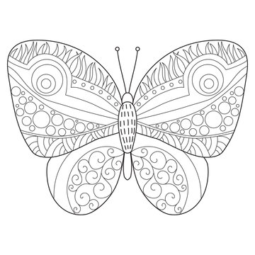 Hand drawn butterfly