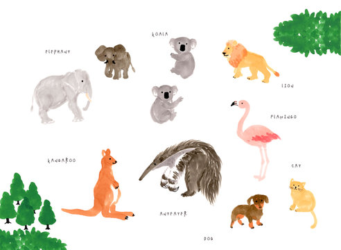 Kangeroo Images Browse 15 877 Stock Photos Vectors And Video Adobe Stock