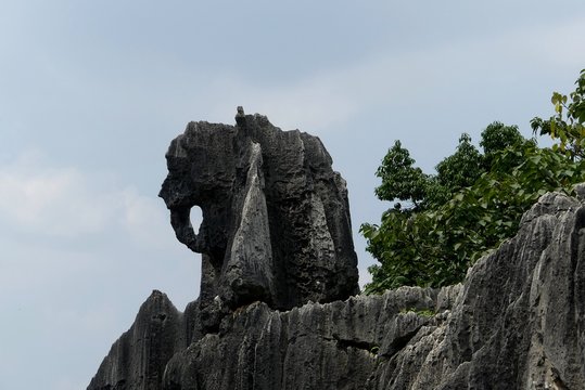 Stone elephant