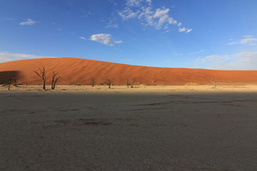 Morgenstimmung mit toten Bäumen in Sossusvlei - Namibia (Dead trees in dry clay pan)