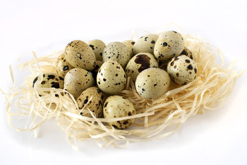 Spotted quail eggs in the straw nest. Isolated on white background