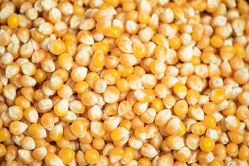 Raw dry corn seed. Flat lay composition. Healthy, organic and delicious food. Top view.