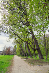 A walking path in city park 