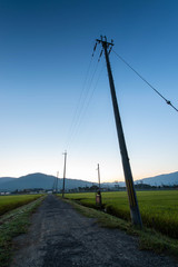 Fototapeta na wymiar 電線のある道路と夜明けの青い空