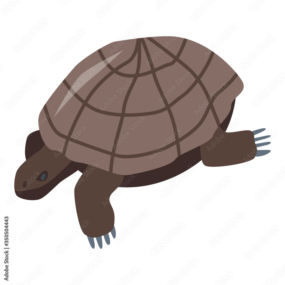 Poster brown turtle icon. isometric of brown turtle vector icon for web design isolated on white background