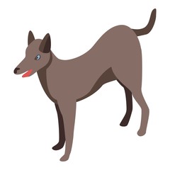 Brown dog icon. Isometric of brown dog vector icon for web design isolated on white background