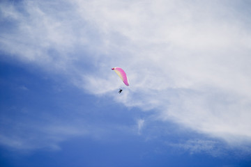 Silhouette of a landing skydiver against the sky. People are gliding using a parachute on the land background . Extreme Air Sports