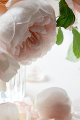 Fototapeta na wymiar 淡いピンクの薔薇の背景素材