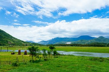 Beautiful green rice fields in mountains in tropical climate in Asia