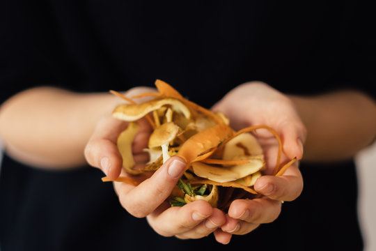 Close up hands with compost vegetable peelings on black background. Organic waste, fertilize for he soil