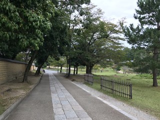 A path in the Nara park