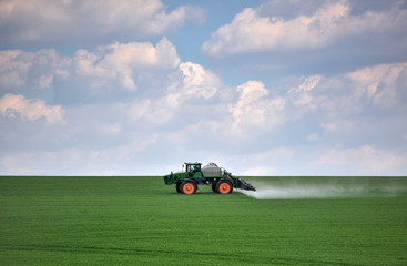 Tractor spraying green wheat field. Agricultural work