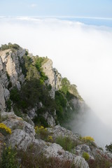 view of the rock with flowers and grass from the top of the mountain in the clouds Crimea Russia summer June 2016