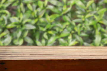 green leaves on wooden table