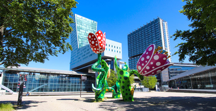 Lille (France), The Tulips of Shangri-La have become one of the symbols of Lille since Lille2004 European Capital of Culture.