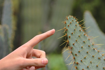 Tocando un cactus